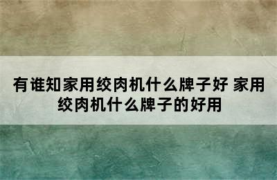 有谁知家用绞肉机什么牌子好 家用绞肉机什么牌子的好用